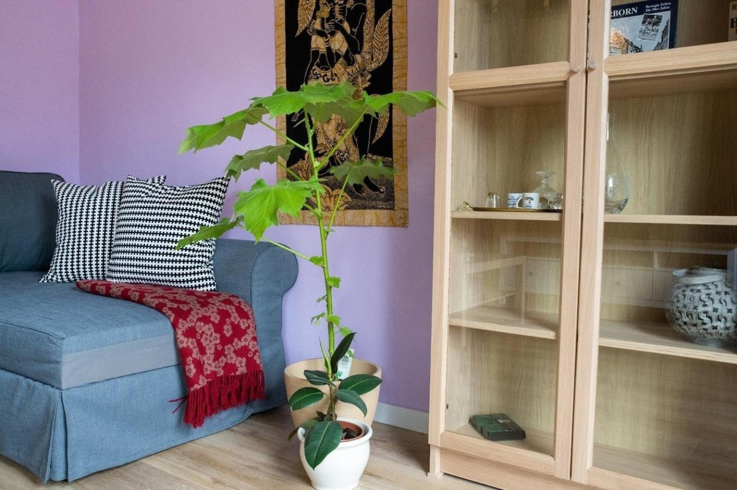 Farbenfrohe Ferienwohnung Detmold Extérieur photo